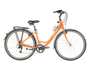 Unisex Bike